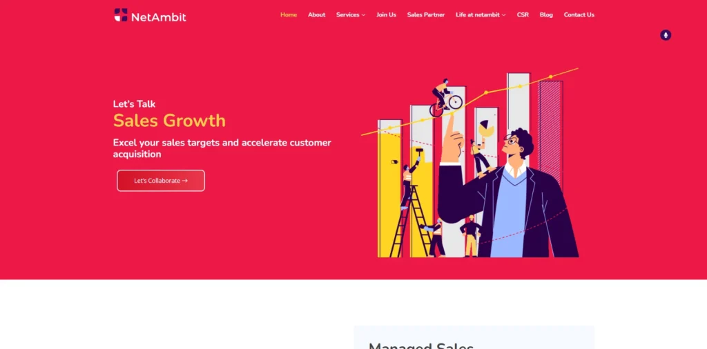 Finance Company in Jaipur - NetAmbit