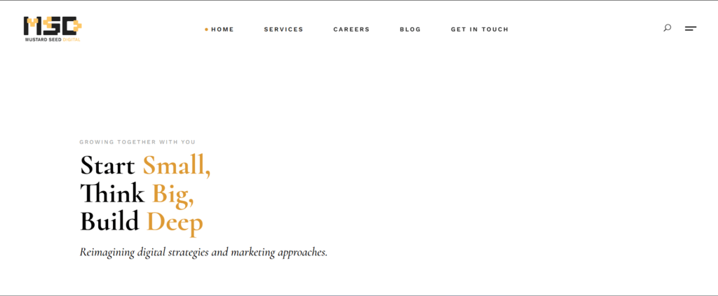 Influencer Marketing Agency – Mustard Seed Digital Marketing Agency