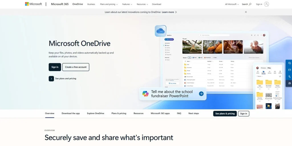 Microsoft OneDrive -Cloud Backup Services