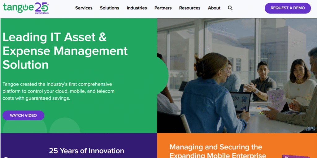 Telecom Expense Management Companies