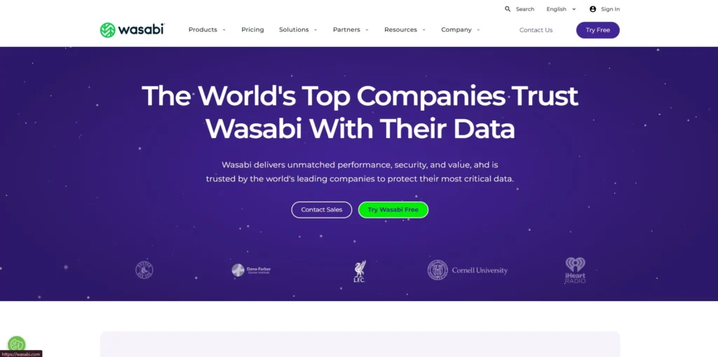 Wasabi Hot Cloud Storage-Cloud Backup Services