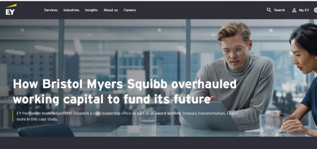 EY (Ernst & Young) - Accounting Firms in the USA