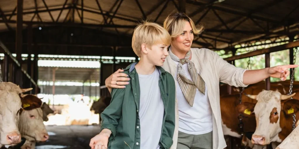 Small Town Business Ideas