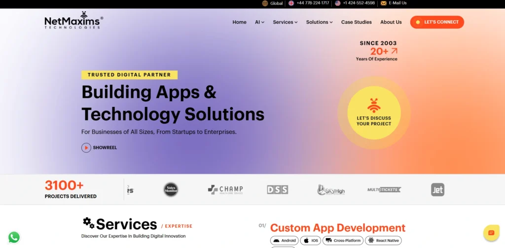 IT Companies in Faridabad- NetMaxims Technologies