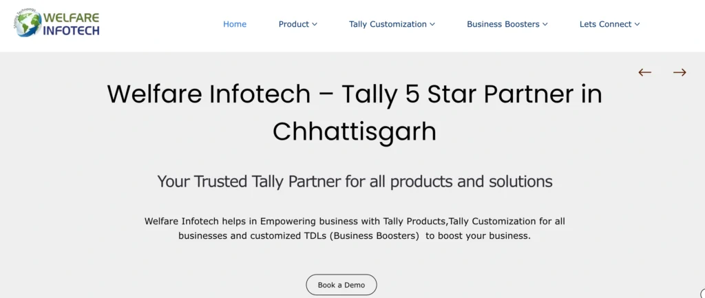 IT Company in Raipur - Welfare Infotech Pvt Ltd