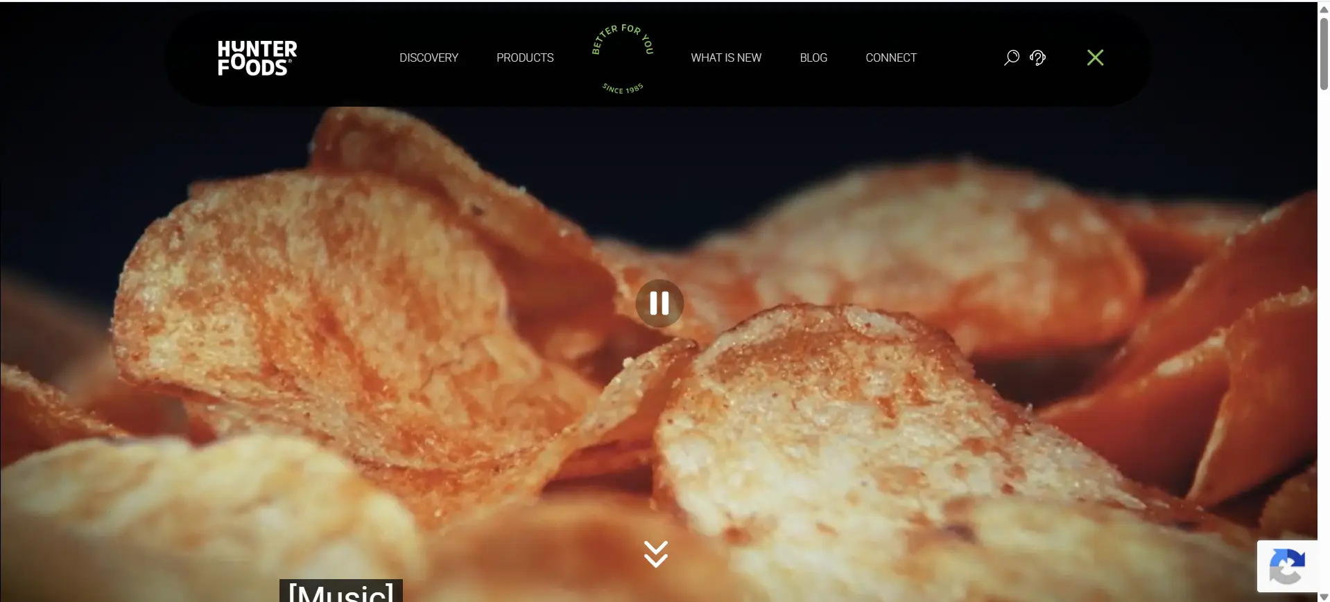 Manufacturing Companies in UAE -  Hunter Foods