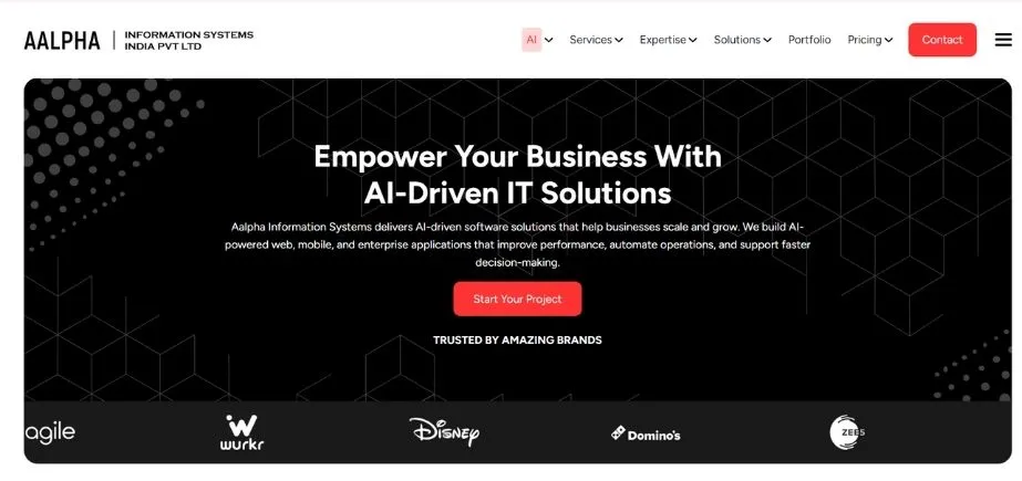 Alpha Information Systems - WordPress Development Companies