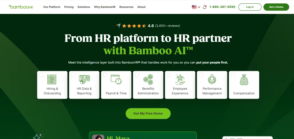 AI tool for HR- Bamboo‍HR 
