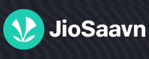 JioSaavn - ViMusic Alternative