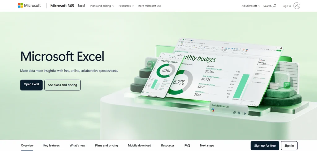 Data Entry Software - Microsoft Excel