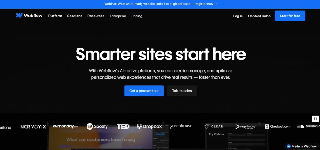 CMS for SEO - Webflow