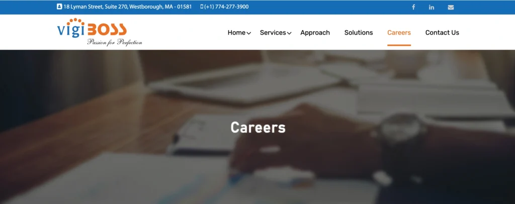 IT Company in Vizag - V‍igibos​s IT Solutions