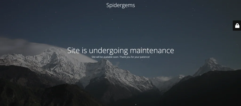 IT Company in Karur - Spidergems Softlabz‌