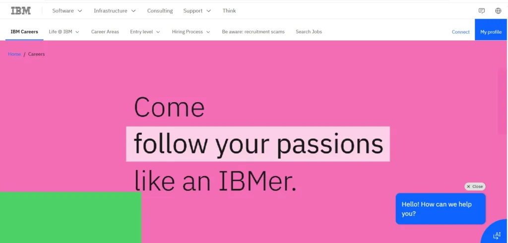 MNC Company in India- IBM India