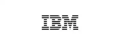 IBM India - Software Companies in India
