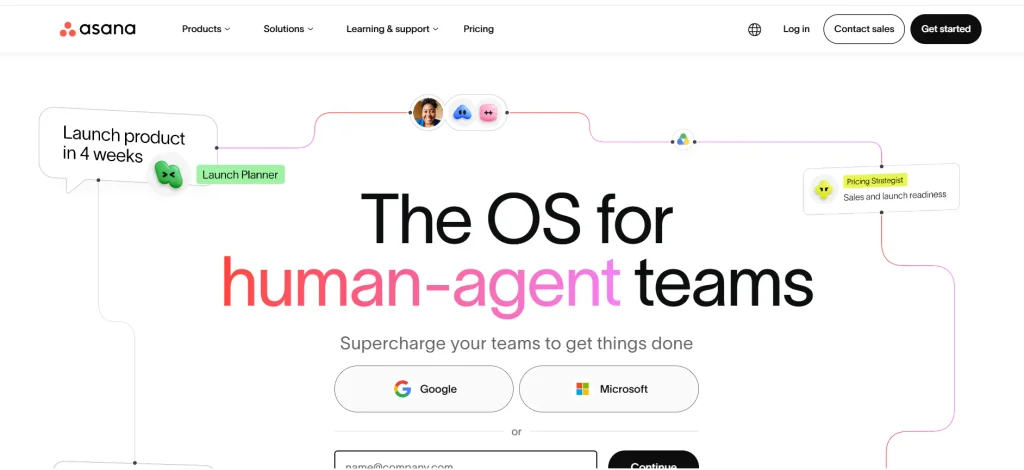 Team Collaboration Tool- Asana